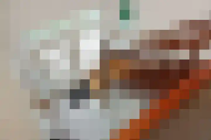 Willibrordusweg 199 Oss thumbnail 20