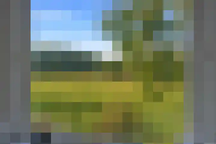 Willibrordusweg 199 Oss thumbnail 26