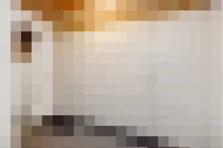 Willibrordusweg 199 Oss thumbnail 28