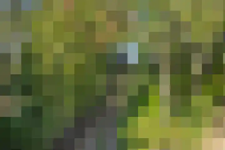 Willibrordusweg 199 Oss thumbnail 35