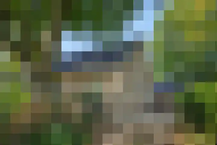 Willibrordusweg 199 Oss thumbnail 37