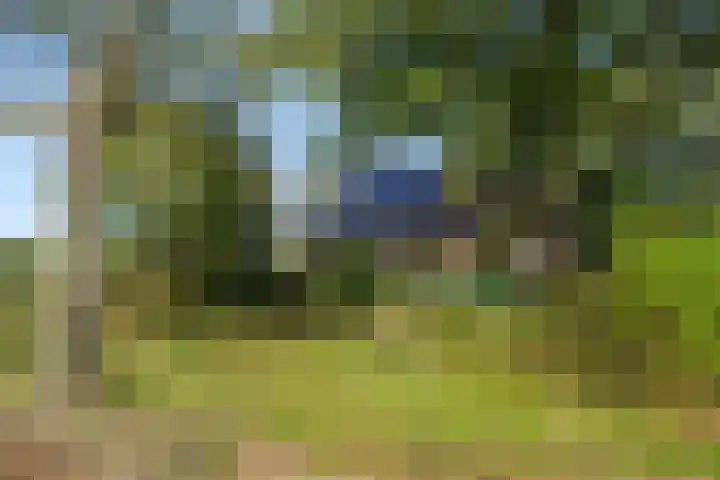 Willibrordusweg 199 Oss thumbnail 42