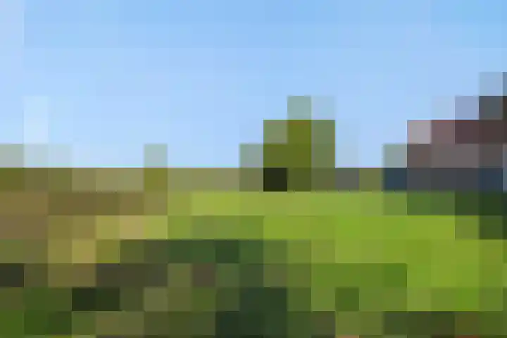 Willibrordusweg 199 Oss thumbnail 43