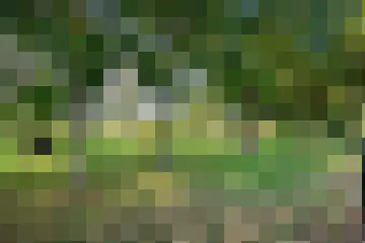 Willibrordusweg 199 Oss thumbnail 45