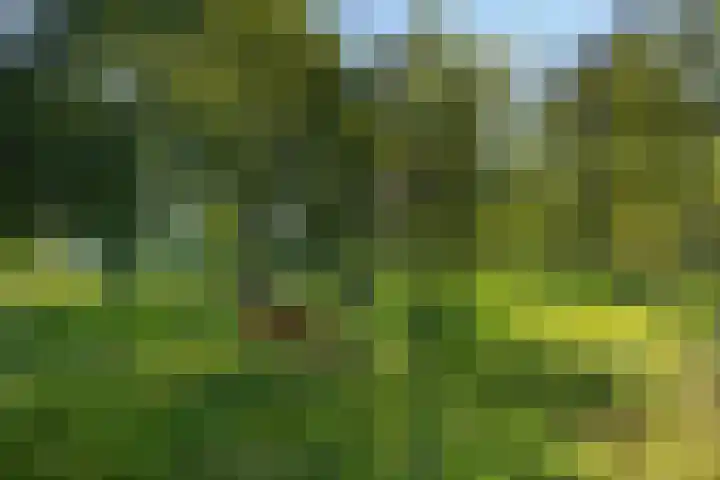 Willibrordusweg 199 Oss thumbnail 46