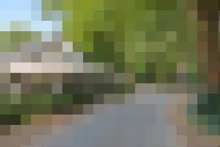 Willibrordusweg 199 Oss thumbnail 47