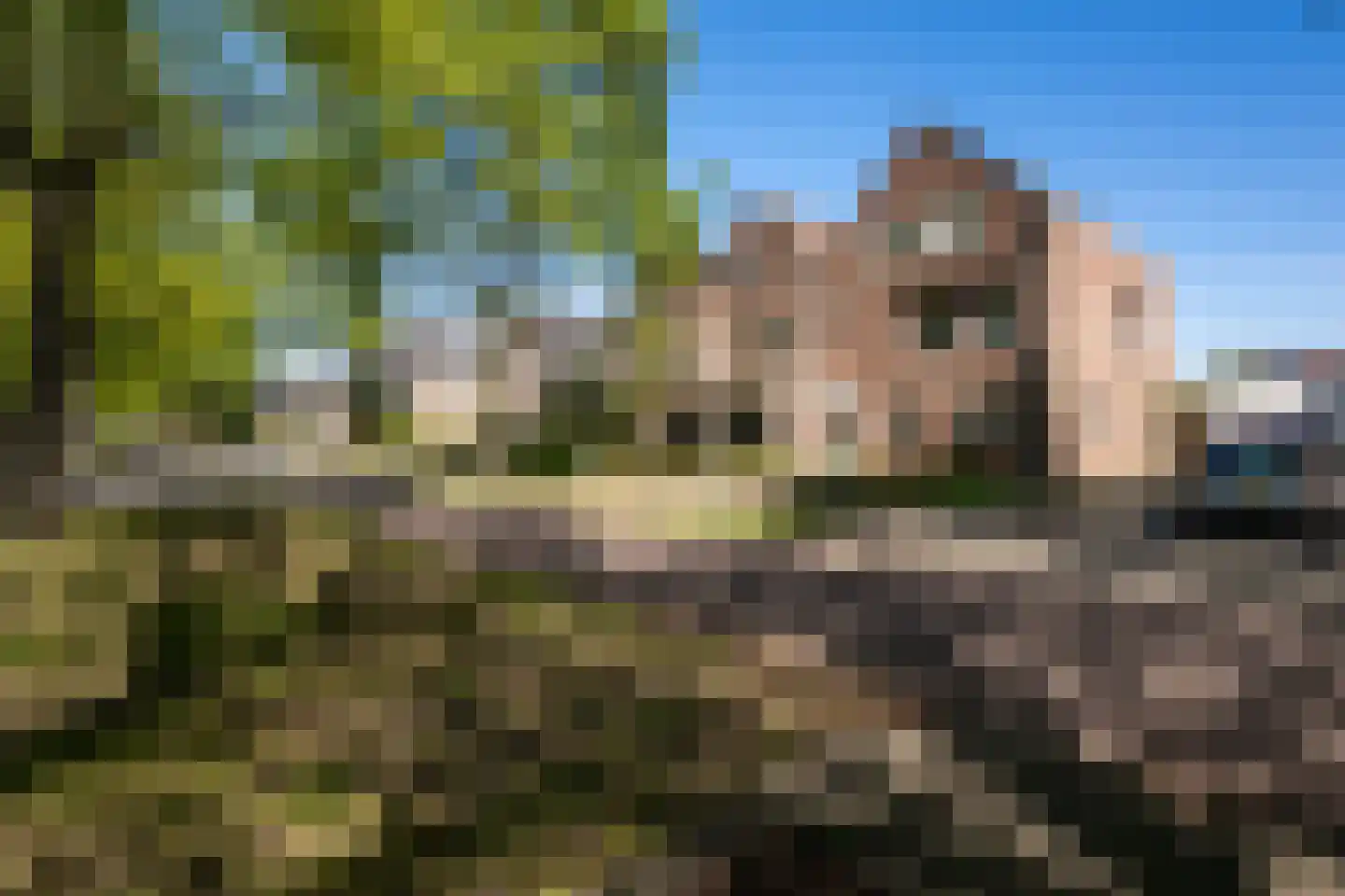 Willibrordusweg 34 Oss thumbnail 19