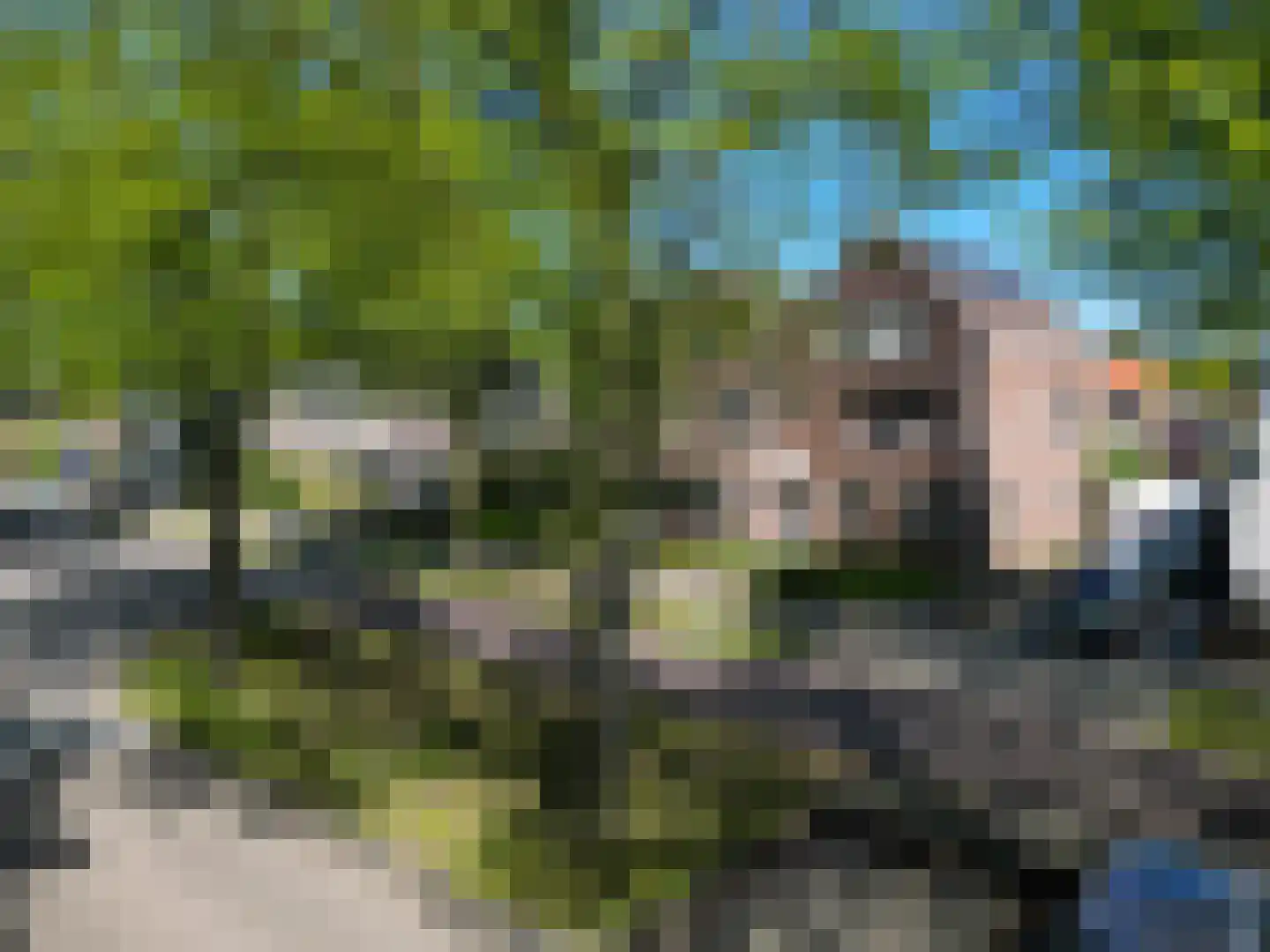 Willibrordusweg 34 Oss thumbnail 5