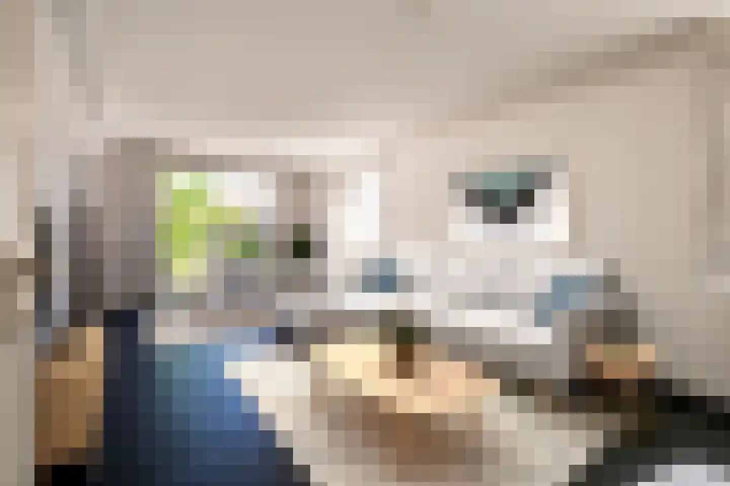 Willibrordusweg 34 Oss thumbnail 7