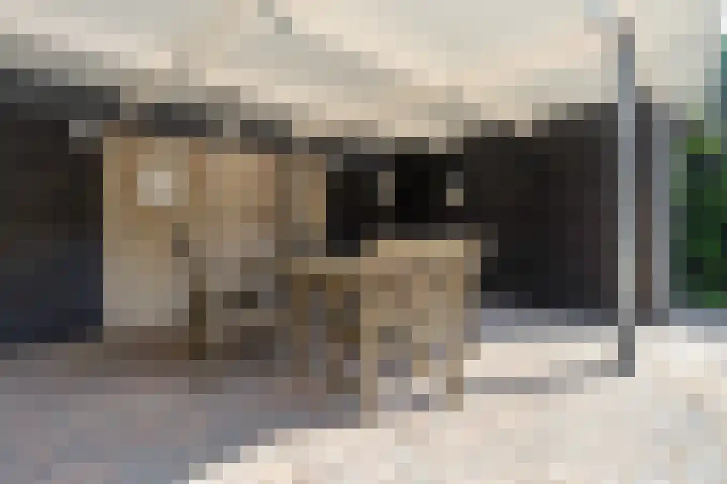 Willibrordusweg 35 Esch thumbnail 21