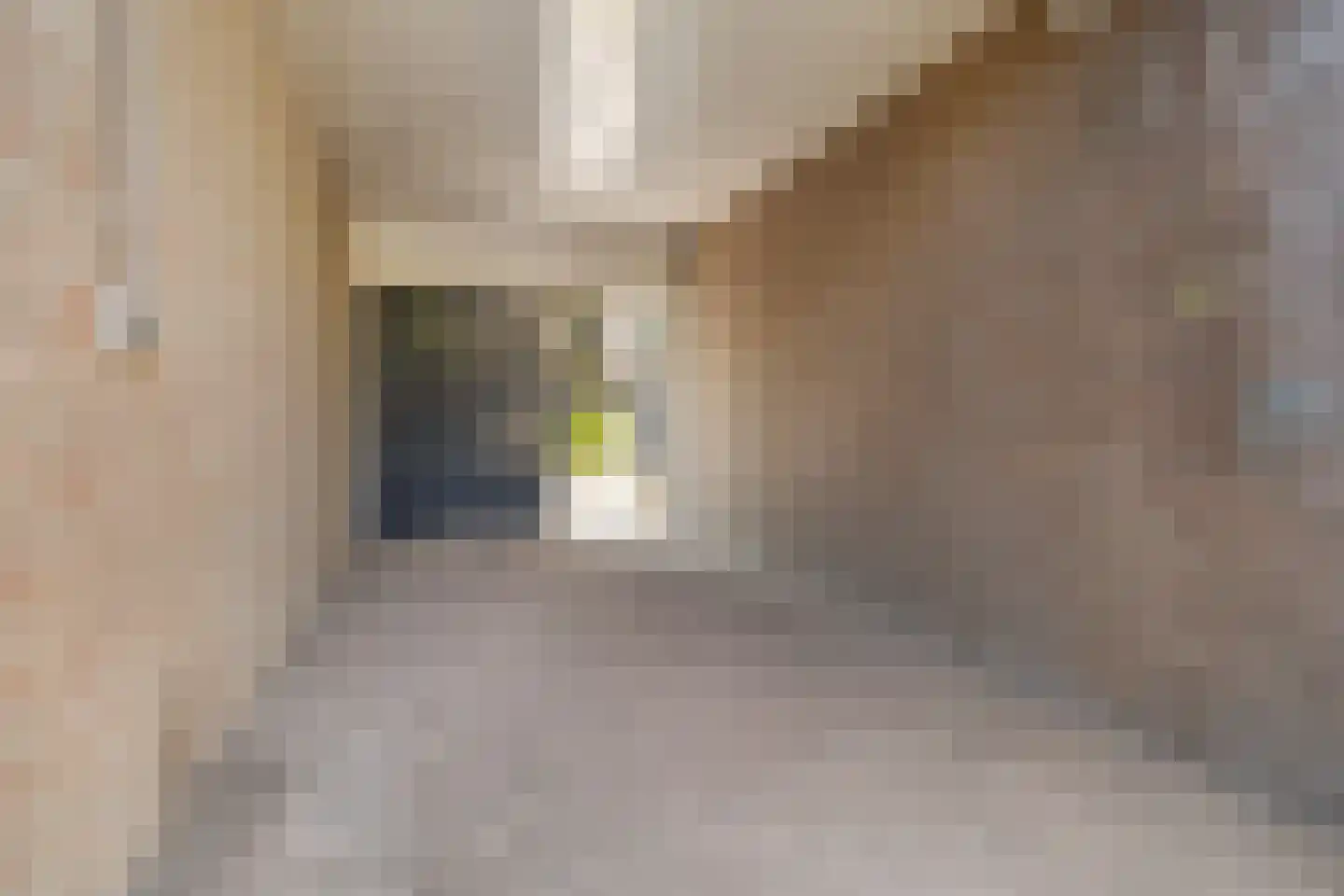 Willibrordusweg 35 Esch thumbnail 22