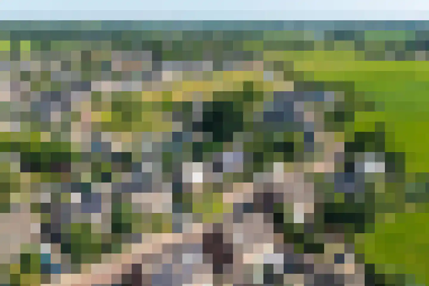 Willibrordusweg 35 Esch thumbnail 6