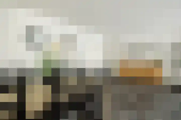Willibrordusweg 39 Esch thumbnail 11