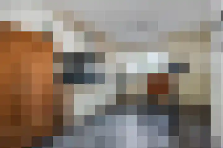 Willibrordusweg 39 Esch thumbnail 17