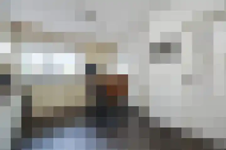 Willibrordusweg 39 Esch thumbnail 19