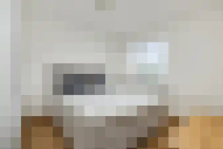 Willibrordusweg 39 Esch thumbnail 33