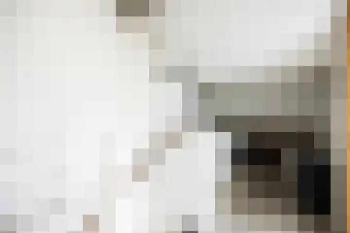 Willibrordusweg 39 Esch thumbnail 37