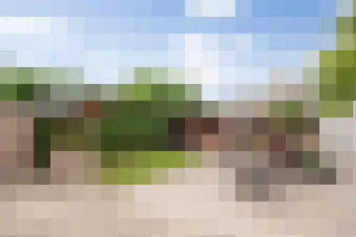 Willibrordusweg 39 Esch thumbnail 43