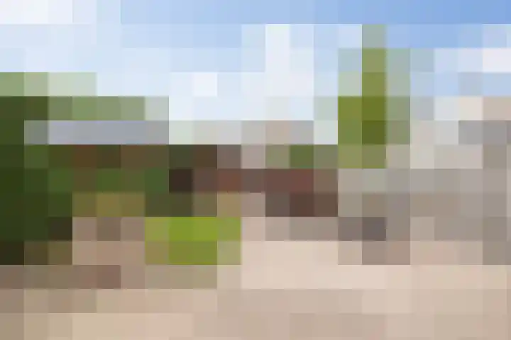 Willibrordusweg 39 Esch thumbnail 44