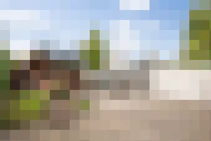 Willibrordusweg 39 Esch thumbnail 45