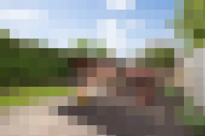 Willibrordusweg 39 Esch thumbnail 46