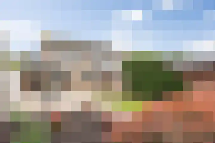 Willibrordusweg 39 Esch thumbnail 50