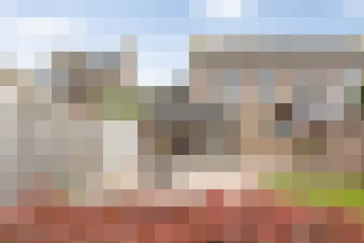 Willibrordusweg 39 Esch thumbnail 51