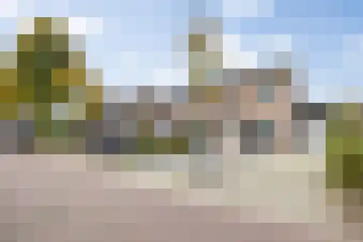Willibrordusweg 39 Esch thumbnail 52