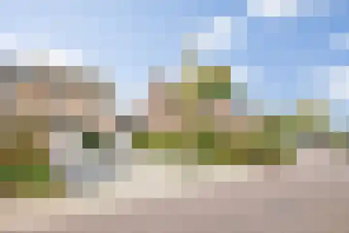 Willibrordusweg 39 Esch thumbnail 54