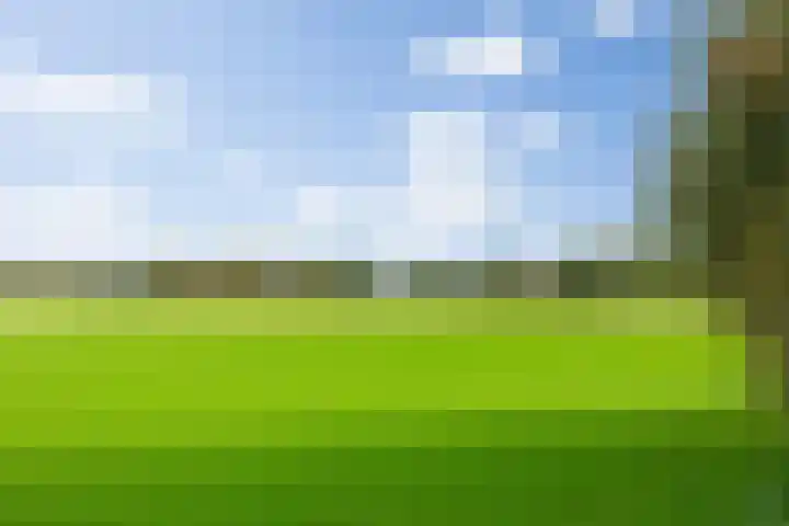 Willibrordusweg 39 Esch thumbnail 55