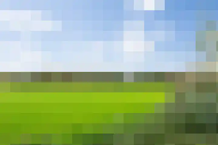 Willibrordusweg 39 Esch thumbnail 57