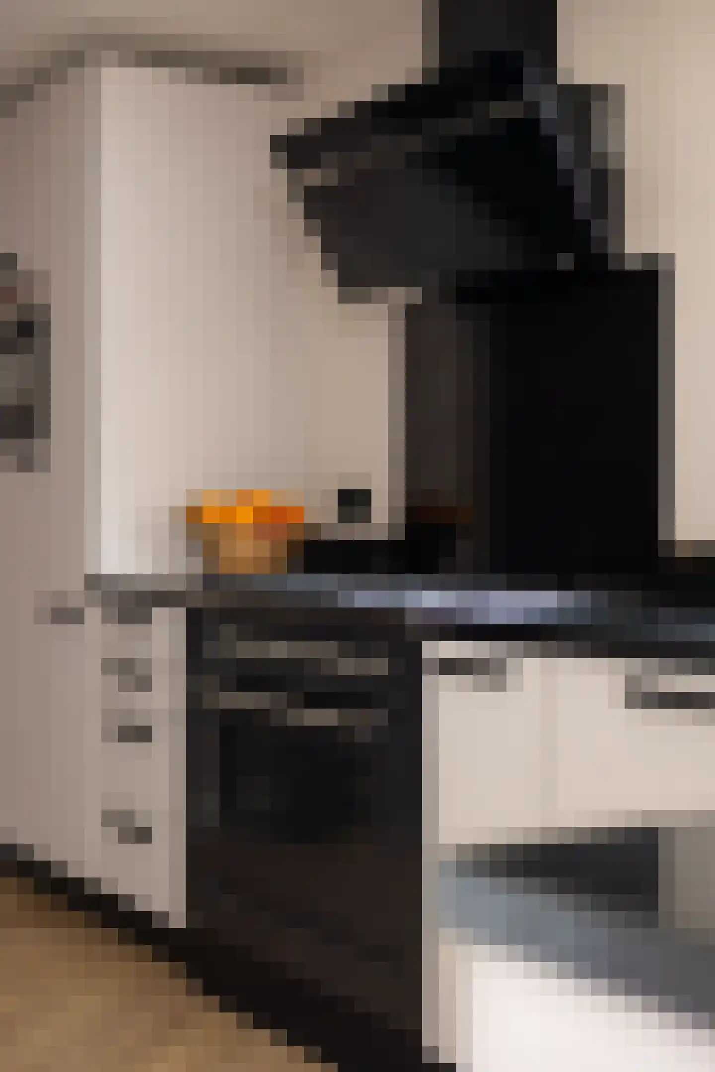 Willibrordusweg 6 Esch thumbnail 12