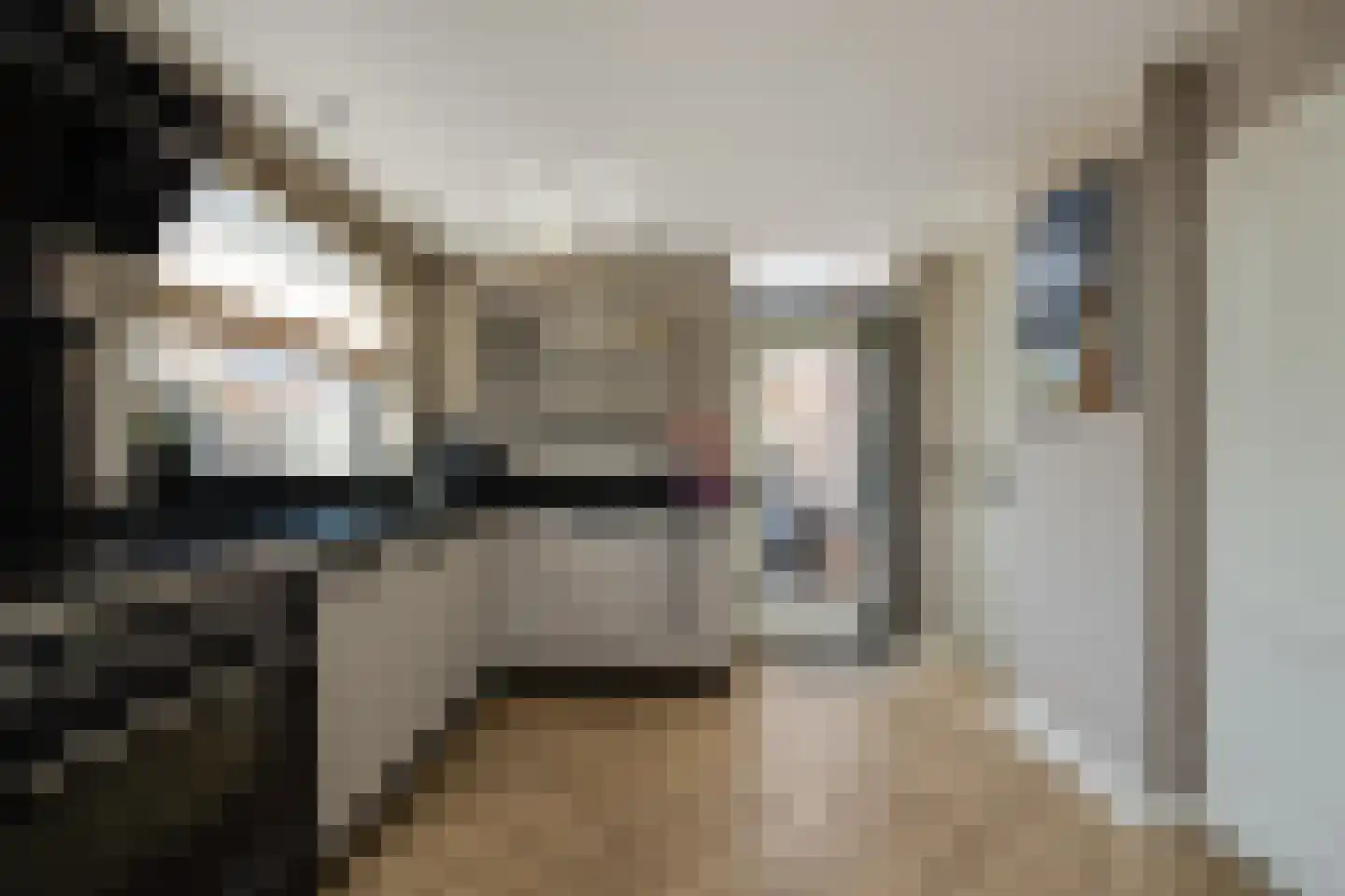 Willibrordusweg 6 Esch thumbnail 15
