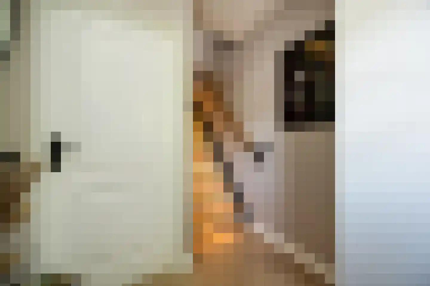 Willibrordusweg 6 Esch thumbnail 19