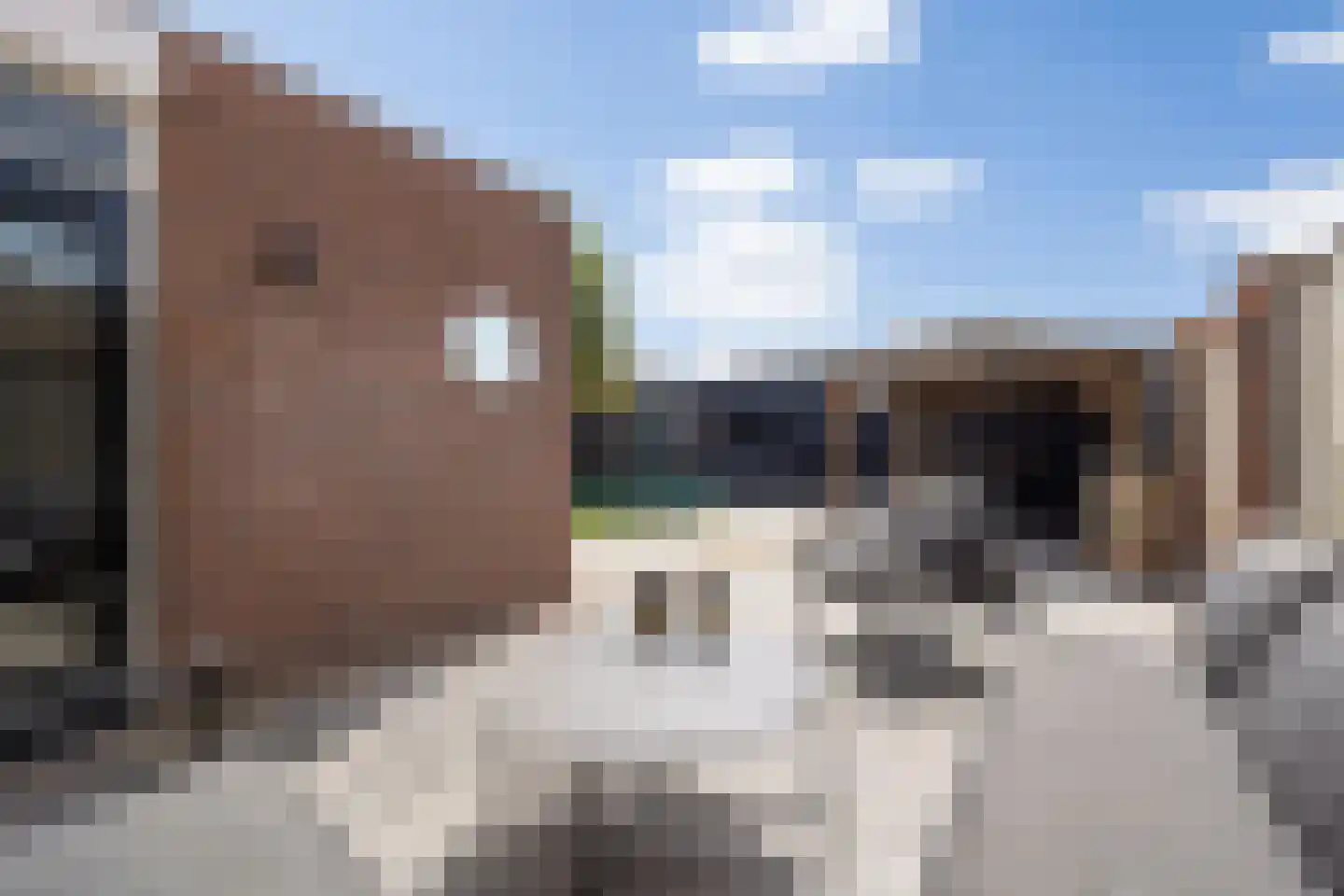 Willibrordusweg 6 Esch thumbnail 30