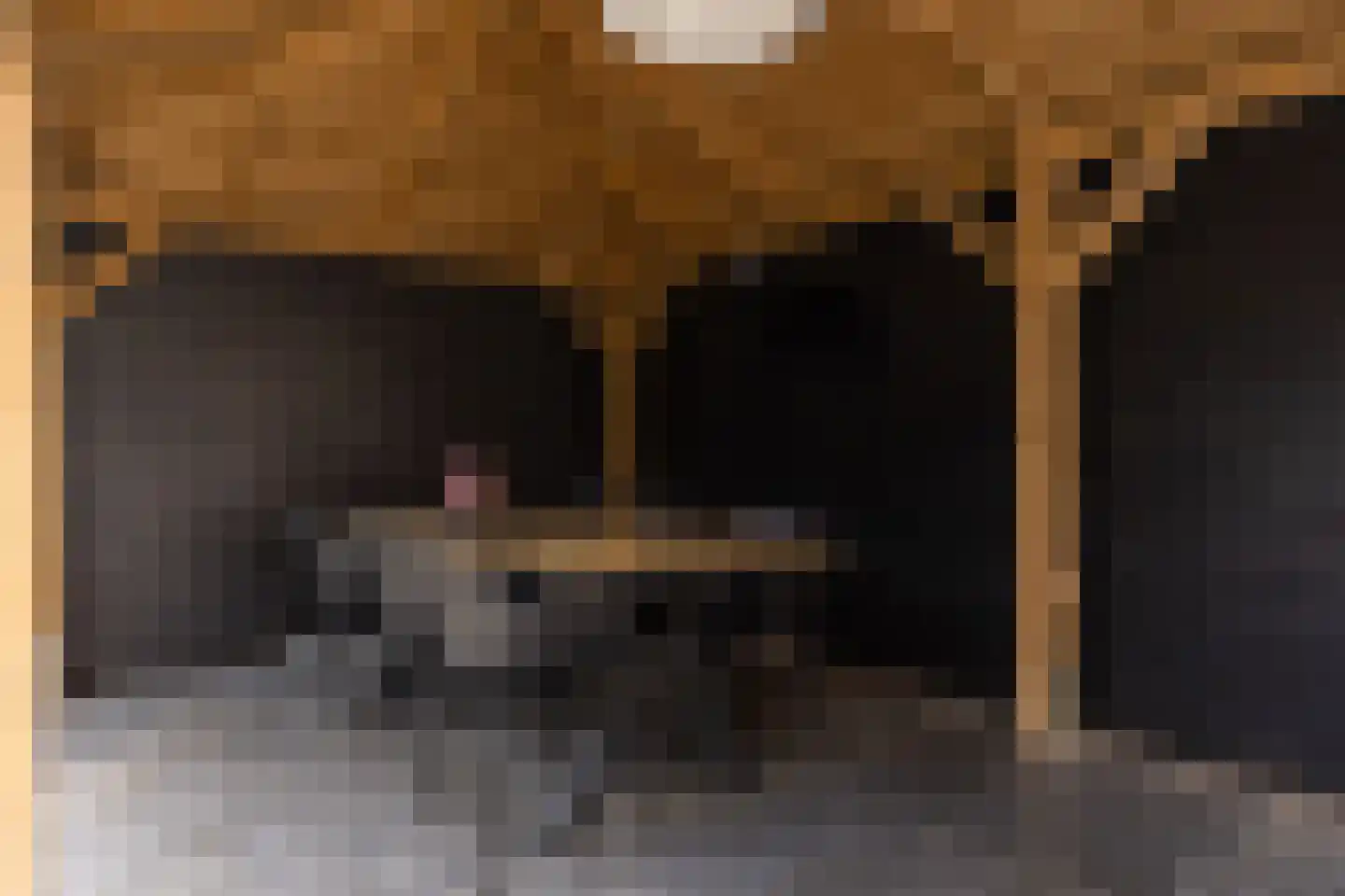 Willibrordusweg 6 Esch thumbnail 38