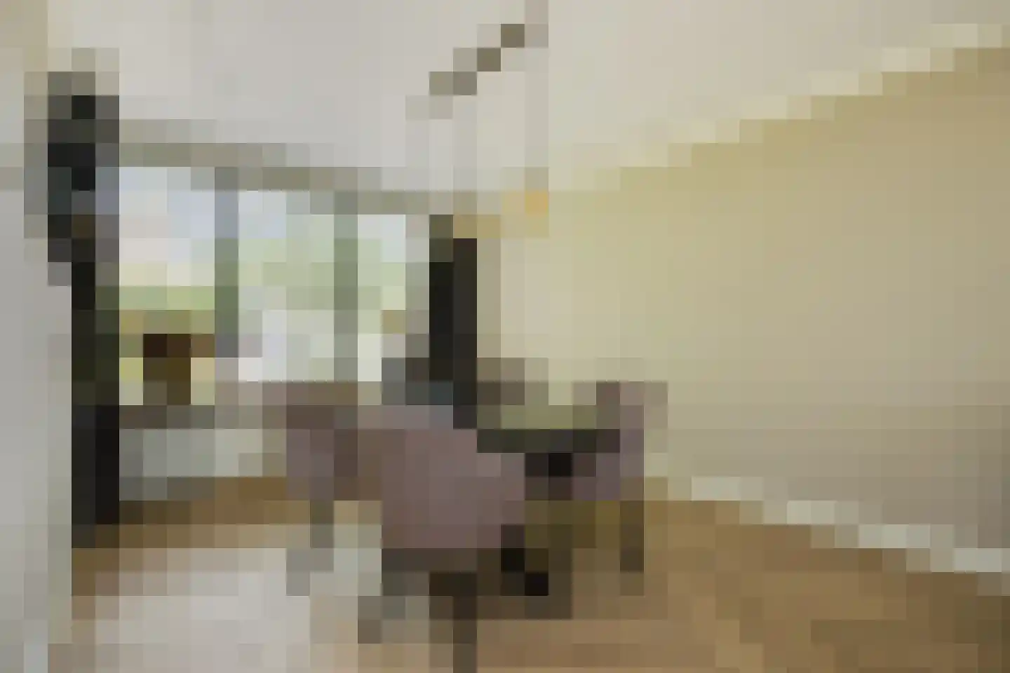 Willibrordusweg 6 Esch thumbnail 9