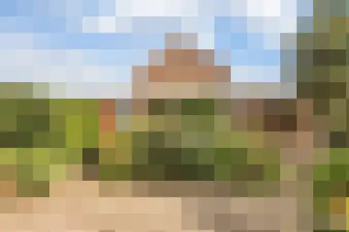 Willibrordusweg 60 Didam thumbnail 17