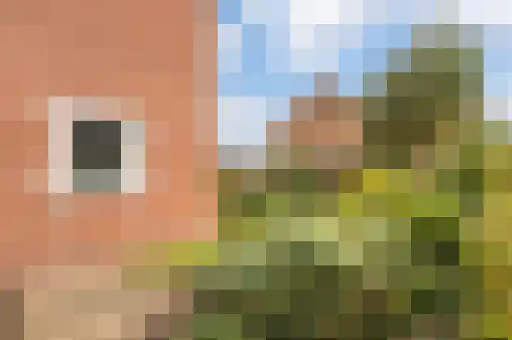 Willibrordusweg 60 Didam thumbnail 18
