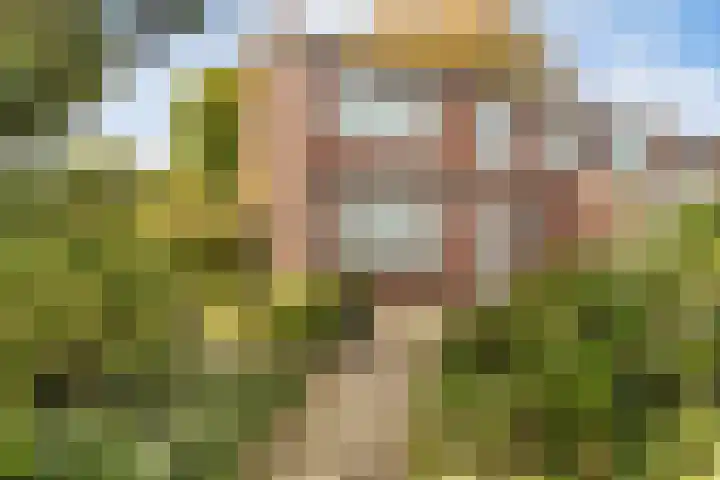 Willibrordusweg 60 Didam thumbnail 4