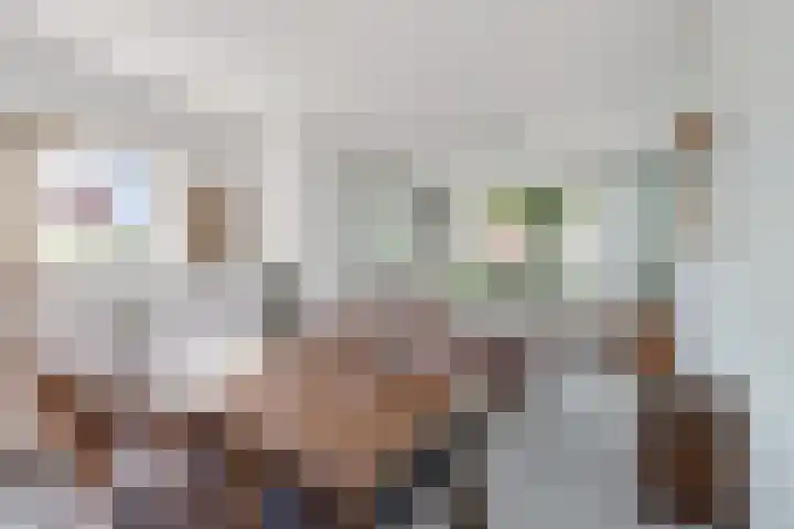 Willibrordusweg 60 Didam thumbnail 5