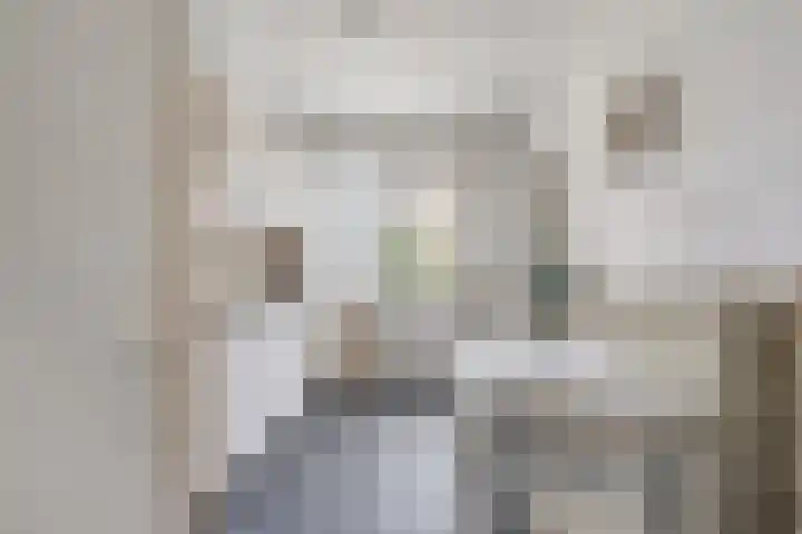 Willibrordusweg 60 Didam thumbnail 8