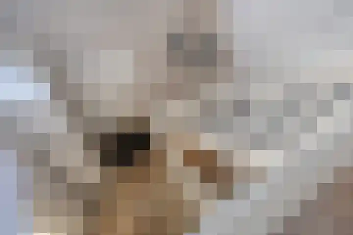 Willibrordusweg 96 Oss thumbnail 20