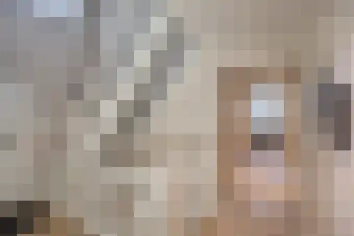 Willibrordusweg 96 Oss thumbnail 21