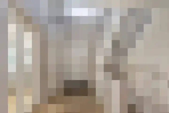 Willibrordusweg 96 Oss thumbnail 22