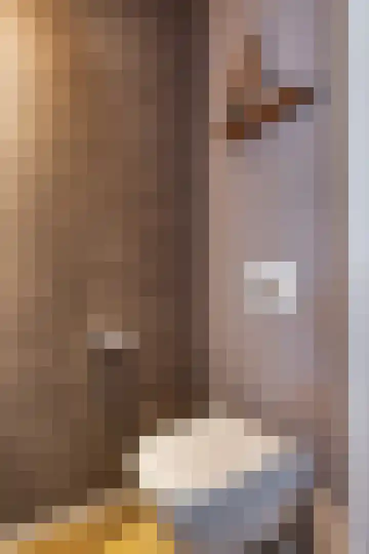 Willibrordusweg 96 Oss thumbnail 25