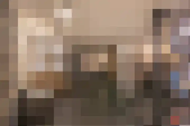 Willibrordusweg 96 Oss thumbnail 33