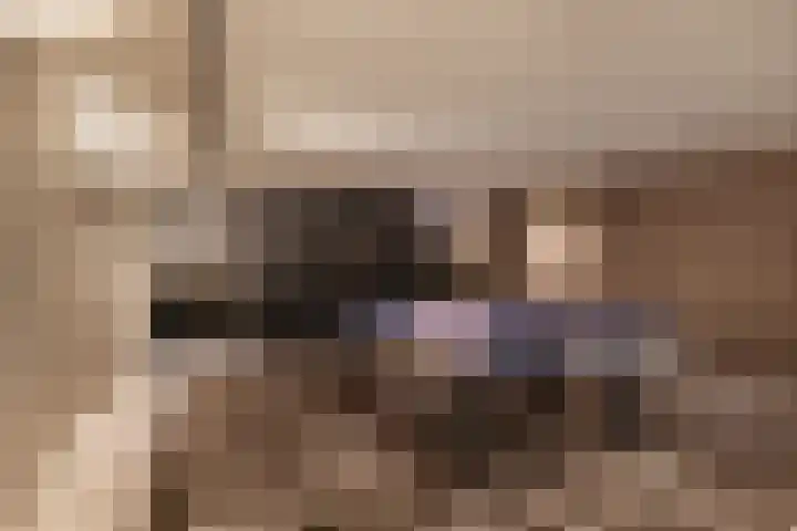 Willibrordusweg 96 Oss thumbnail 35