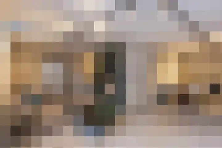 Willibrordusweg 96 Oss thumbnail 36
