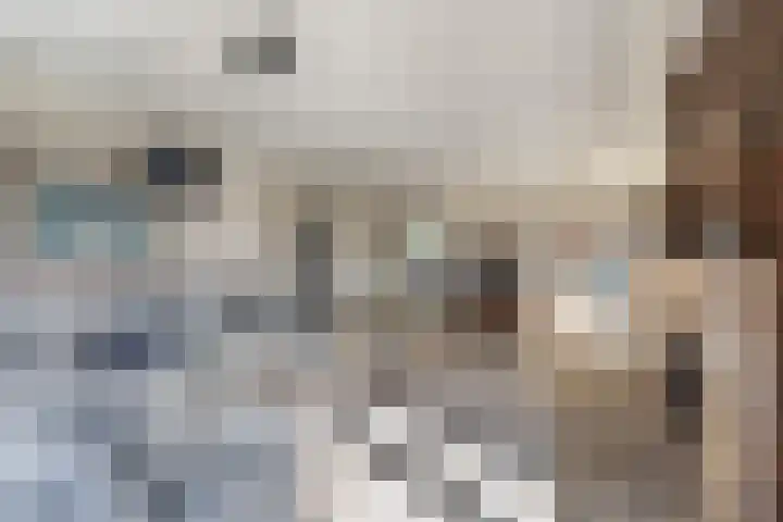 Willibrordusweg 96 Oss thumbnail 4